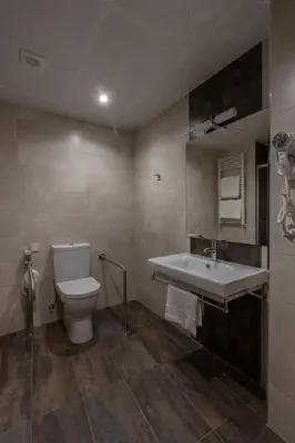 a bathroom with a toilet and a sink at Hotel Novo Cándido in Ourense