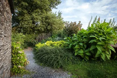 a garden with flowers and plants next to a building at Casa Do Bosque in Sarria