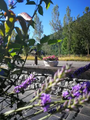 a bunch of purple flowers in a park at Hotel rural La Campanona in Villager de Laciana