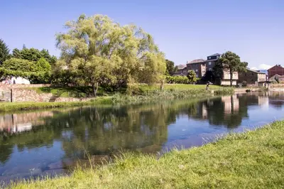 a river with a tree and buildings in the background at La Moncloa de San Lazaro in Cacabelos
