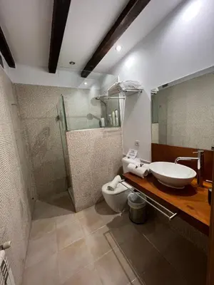 a bathroom with a sink and a toilet and a shower at Rectoral De Lestedo in Palas de Rei