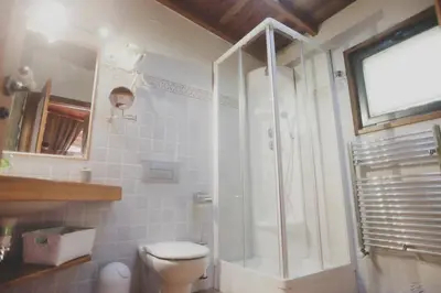 a bathroom with a shower and a toilet at Casa de Afora Casa con piscina y jacuzzi privados in Santiago de Compostela