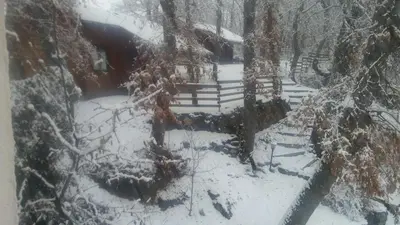 a snow covered yard with a fence and trees at La Albarina in Galende