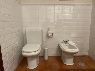 a bathroom with a toilet and a sink at Rectoral de Cines in Oza dos Ríos
