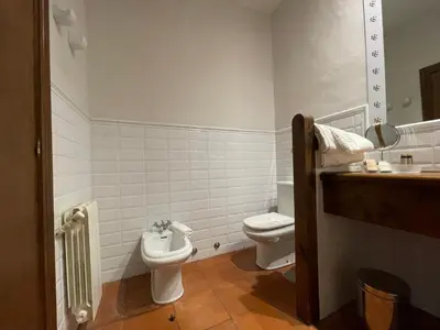 a bathroom with a toilet and a sink at Rectoral de Cines in Oza dos Ríos