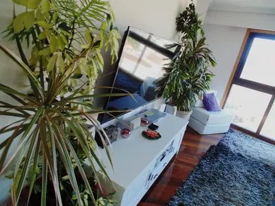 a room with potted plants and a white desk at Duplex grandes cristaleras impresionantes vistas in Ourense
