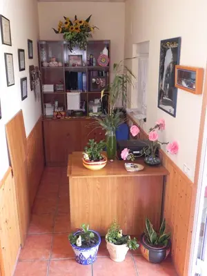a room with potted plants on a wooden table at O Lar de Carmiña in Devesa
