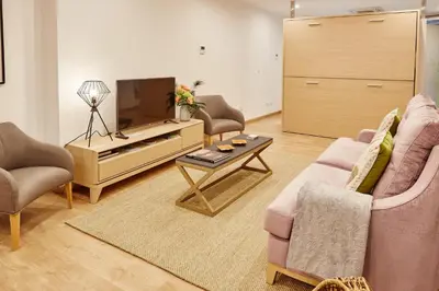 a living room with a couch and a tv at Apartamentos Orfas in Santiago de Compostela