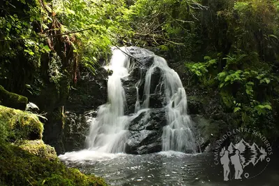 a waterfall in the middle of a forest at Stone Cottage FINISTERRE in Curtis