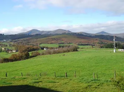 a green field with a fence and mountains in the background at Albergue Restaurante Casa Herminia in El Campiello