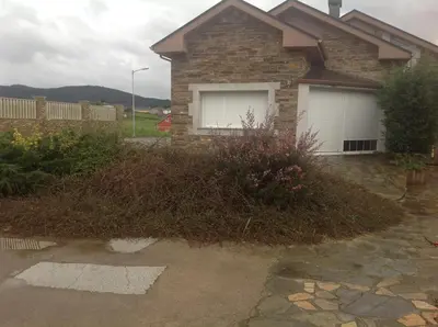 a house with a pile of weeds in front of it at Casa As Pedreiras in Barreiros