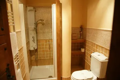a bathroom with a shower and a toilet at La Lechería in Val de San Lorenzo
