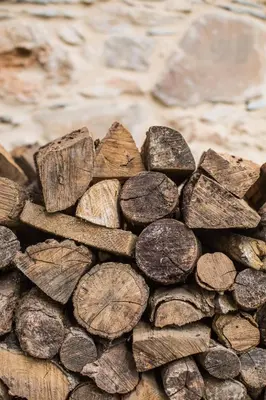 a pile of wood on the ground at Os Feleitos in Orellán