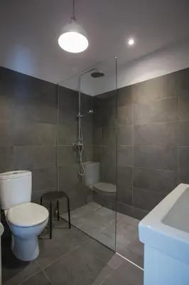 a bathroom with a toilet and a shower and a sink at Os Feleitos in Orellán
