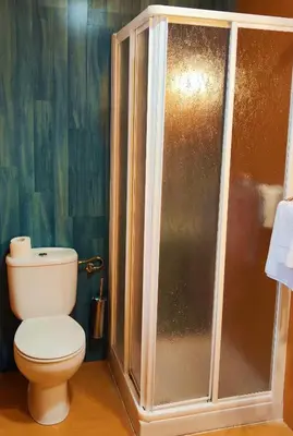 a bathroom with a toilet and a shower at Pension San Roque in Lugo