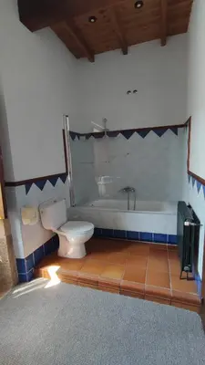 a bathroom with a toilet and a bath tub at Casa Dos Cregos in Bascuas