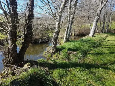 a river with trees and grass next to a field at Casa da Ponte in Ferreira