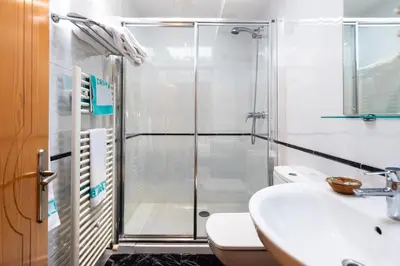 a bathroom with a shower and a toilet and a sink at PENSION CASA MIÑO in Pola de Somiedo
