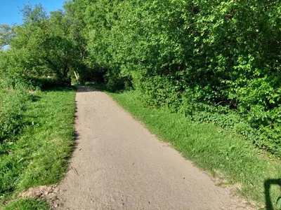 a dirt path through a field with trees at Casa Riquiña in Santiago de Compostela
