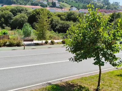 an empty road with a tree on the side of it at Casa Riquiña in Santiago de Compostela