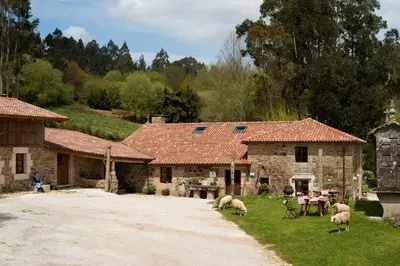 a group of sheep grazing in front of a house at A Casa da Torre Branca in Santiago de Compostela