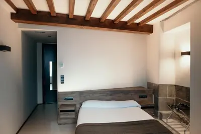 a bedroom with a bed with a wooden headboard at Via Aetcal Hotel & Wellness in Santiago de Compostela