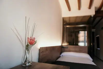 a vase with a red flower sitting on a table at Via Aetcal Hotel & Wellness in Santiago de Compostela