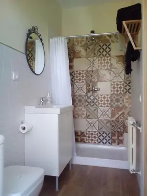 a bathroom with a shower with a toilet and a sink at Casa Ribeira Sacra Portomarin in Portomarin