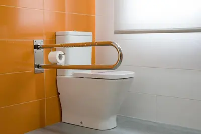 a bathroom with a toilet with a towel rack on it at A Chousa in Arzúa
