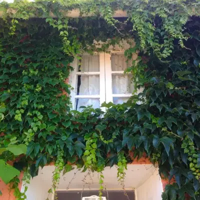 Casa Lourido