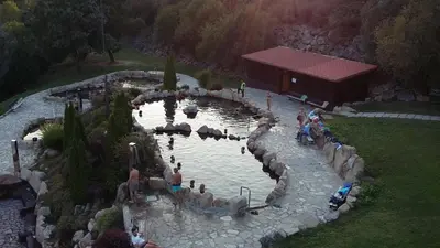 a group of people standing around a pond with animals in it at A Lareira De Allariz in Allariz