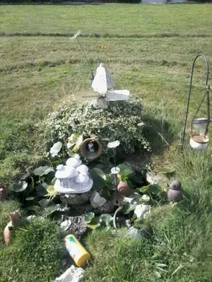 a small garden in the middle of a field at O ollo do Mar in Viveiro