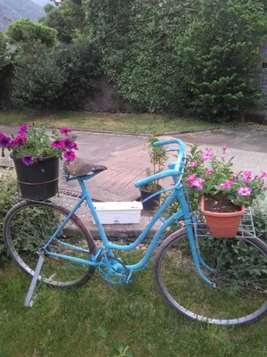 a blue bike parked in the grass with flowers at Casa Rural Calecha in Caboalles de Abajo
