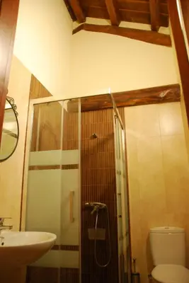 a bathroom with a shower and a toilet and a sink at Isabel Artemis ES in San Tirso de Abres