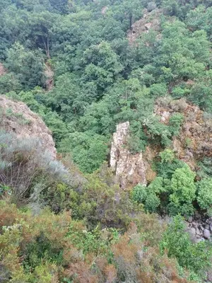 auliculiculiculiculiculiculiculiculiculiculiculiculiculiculic at Cozy apartment in Orense of 45 m² with parking in Ourense