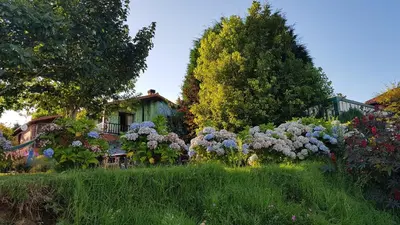 a garden with flowers in front of a house at Apartamentos Rosa Jove in Cabañas