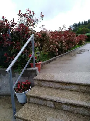 a set of stairs with flowers and plants at O Cruceiro in Palas de Rei