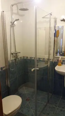 a bathroom with a shower and a toilet and a sink at Península de la paz in Lugo