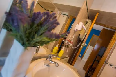 a bathroom with a sink with a vase of purple flowers at Casa BRAIS in Barreiros