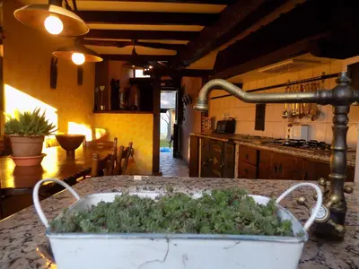 a kitchen counter with a pot of lettuce on a table at Vivienda Vacacional Bioxana in Molejón