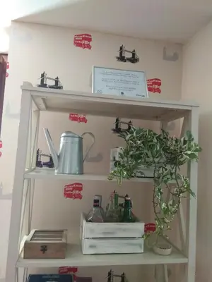 a shelf with a tea pot and a plant on it at Apartamento Cine Colón in Ribadeo