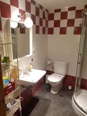 a bathroom with a toilet and a sink at Apartamento Cine Colón in Ribadeo