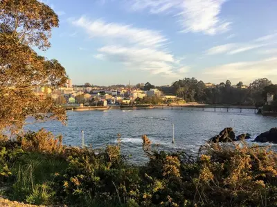 a view of a river with a city in the background at Villa Dorneda in Oleiros