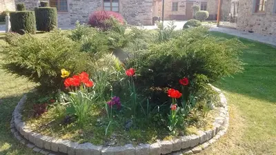 a garden with flowers and plants in a yard at Alén do Mis - Hotel Rural in Foz
