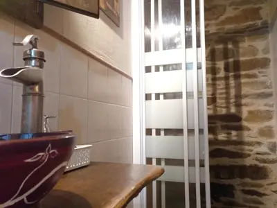 a bathroom with a sink and a toilet in it at CASA RURAL Calma del Lago in Triufé