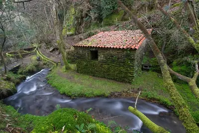 an old cabin in the woods next to a river at Costa da Egoa in Carral