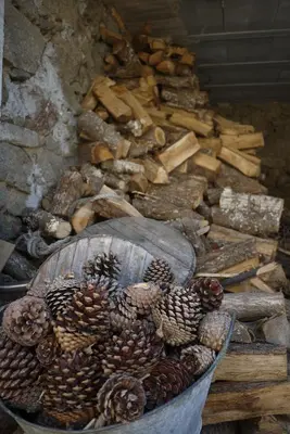 a bunch of pine cones and logs in a bucket at Casa de Labranza Naz in Sober