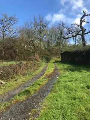 a dirt road in the middle of a field at Casa de Labranza Naz in Sober