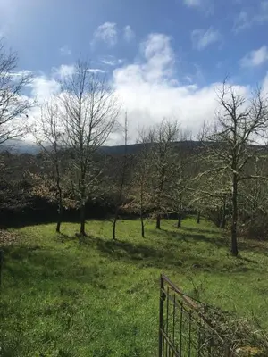 a field with trees and a fence in the grass at Casa de Labranza Naz in Sober