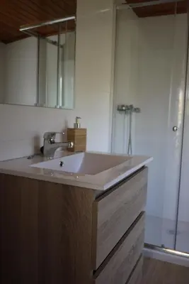 a bathroom with a sink and a shower at Casa de Labranza Naz in Sober